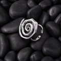 Espiral Plata